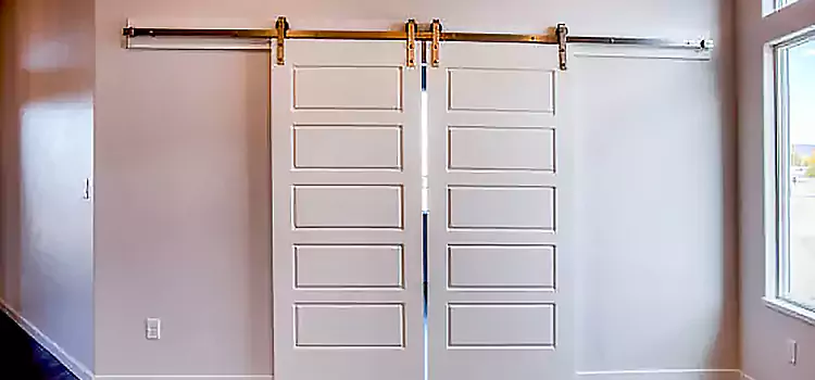 Glass Barn Door with Installation Hardware Kit Terrebonne